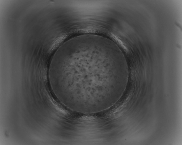 X0000093130537200709261350