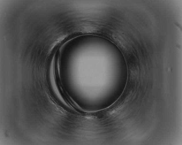 X0000093130539200709261350