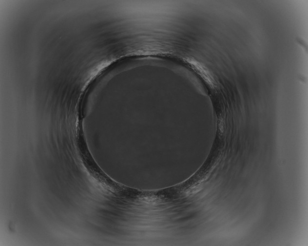 X0000093130540200709261350