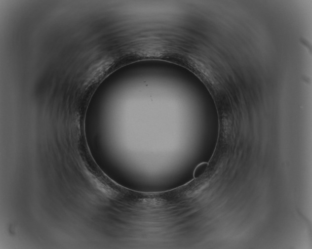 X0000093130541200709261350