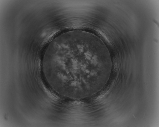 X0000093130542200709261350