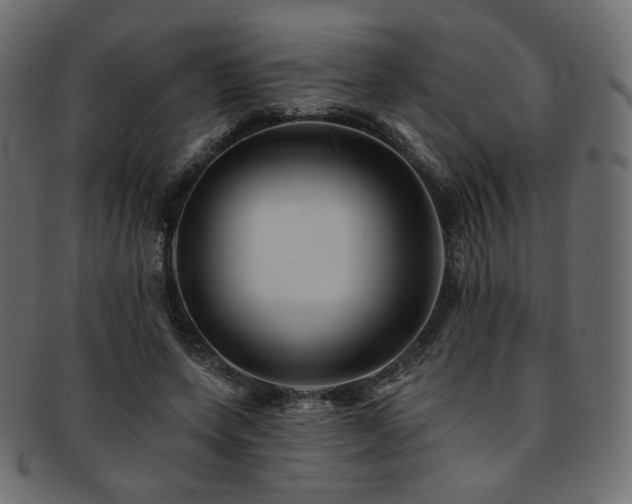 X0000093130543200709261350