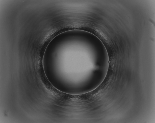 X0000093130544200709261350