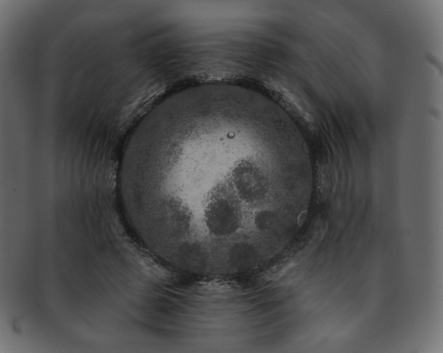 X0000093130545200709261350