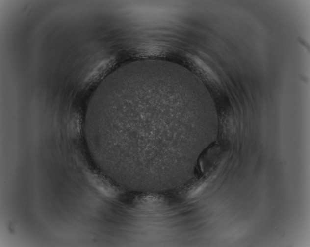 X0000093130546200709261350