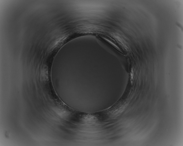 X0000093130547200709261350