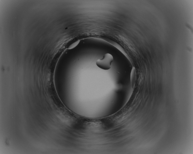 X0000093130548200709261350