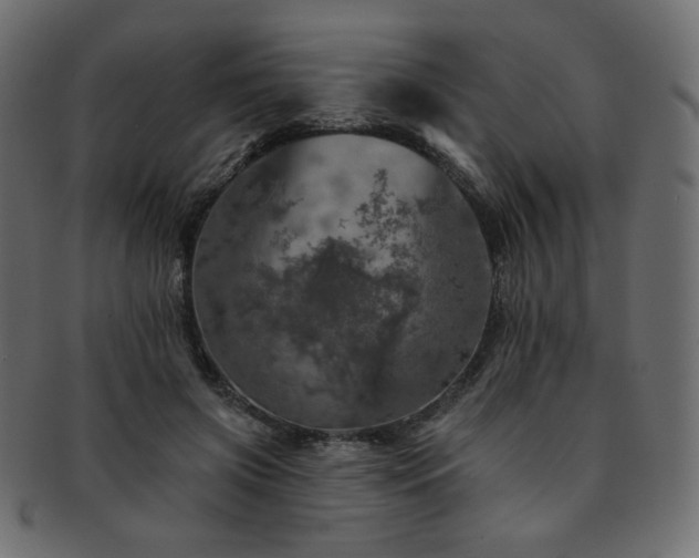 X0000093130549200709261350