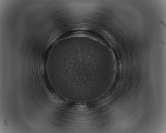 X0000093130552200709261350