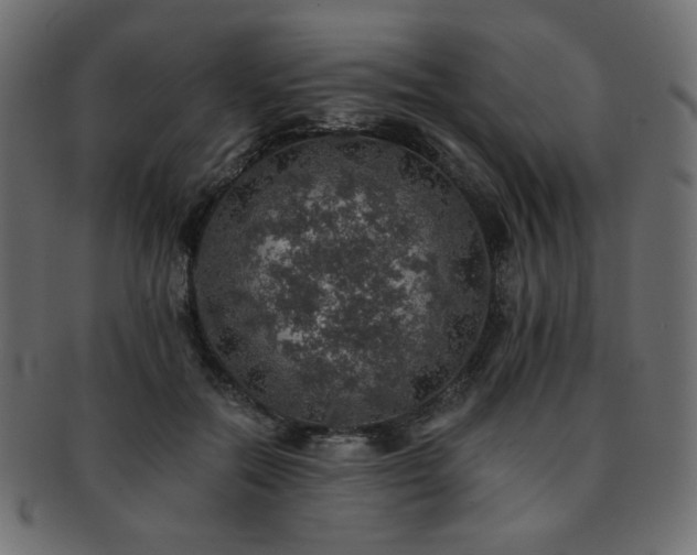 X0000093130554200709261350