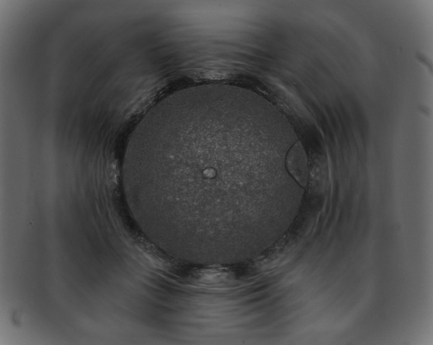 X0000093130555200709261350
