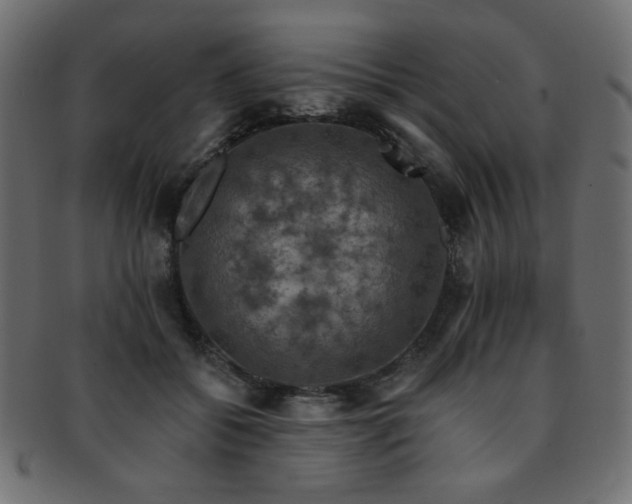 X0000093130556200709261350