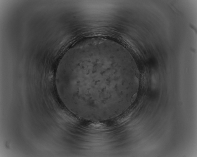 X0000093130557200709261350
