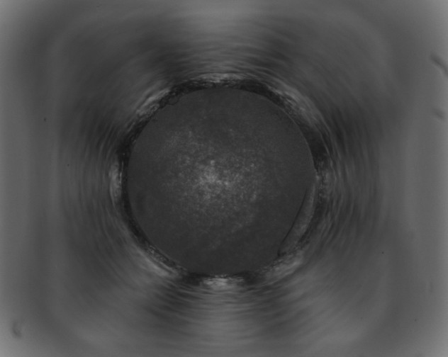 X0000093130558200709261350