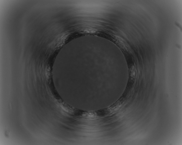 X0000093130559200709261350
