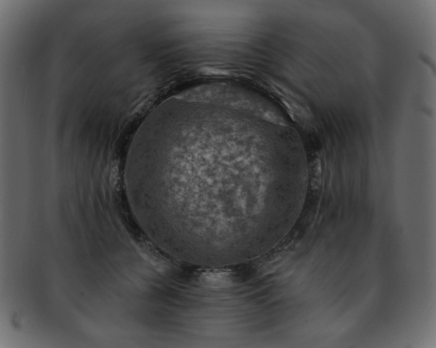 X0000093130560200709261350