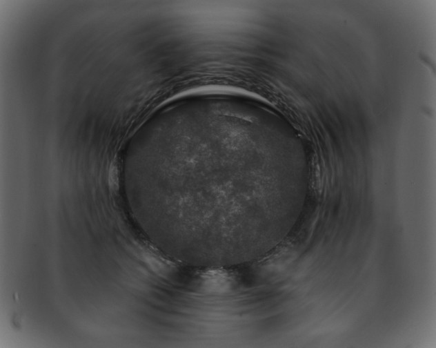 X0000093130562200709261350
