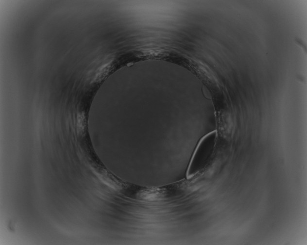 X0000093130563200709261350