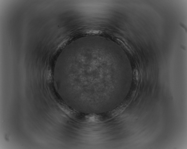 X0000093130564200709261350