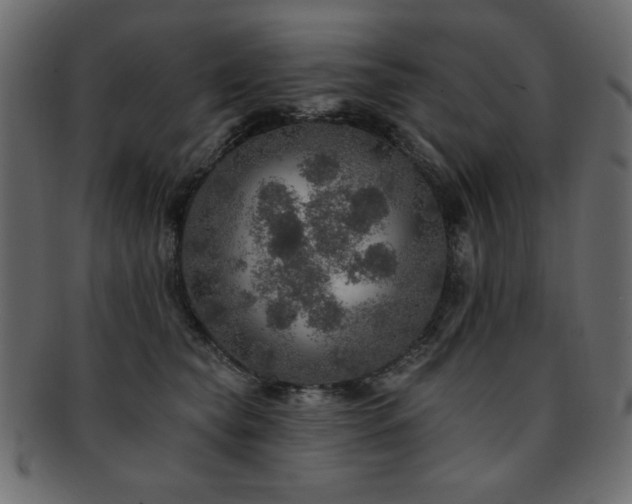 X0000093130565200709261350