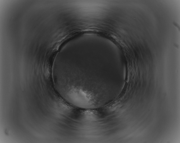 X0000093130566200709261350