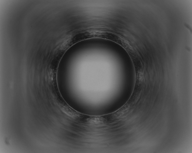 X0000093130567200709261350
