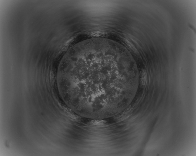 X0000093130569200709261350
