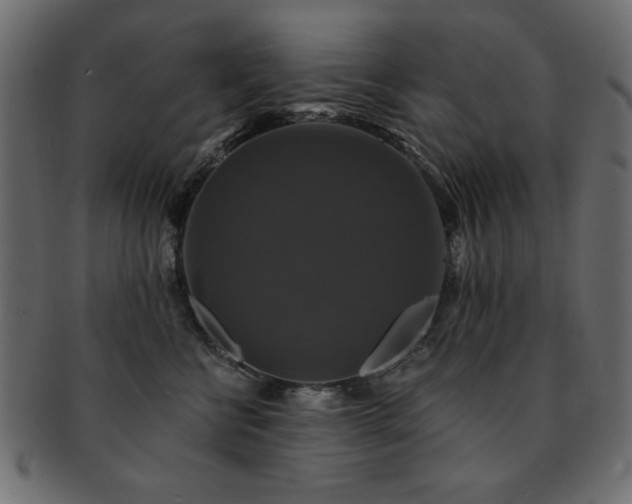 X0000093130570200709261350