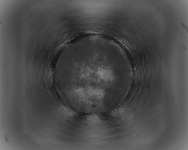 X0000093130572200709261350