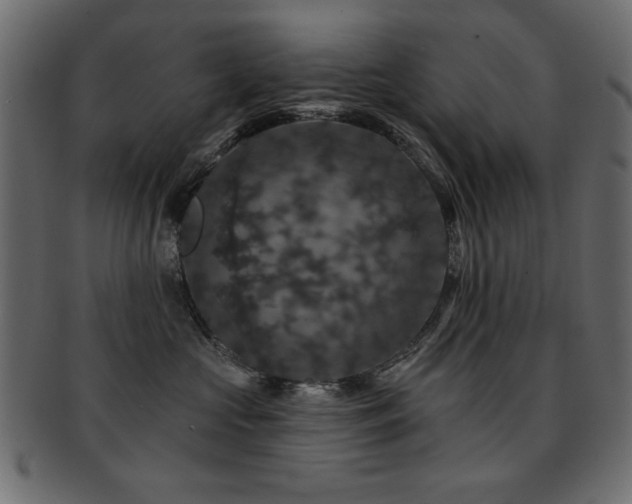 X0000093130573200709261351