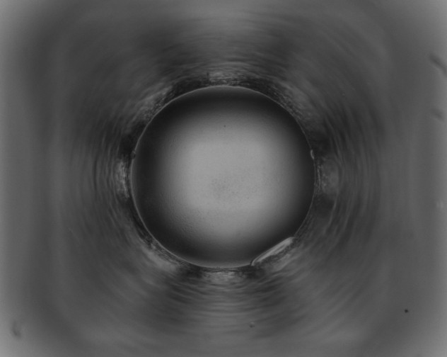 X0000093130575200709261351