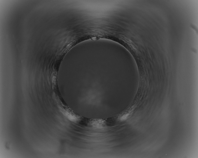 X0000093130576200709261351