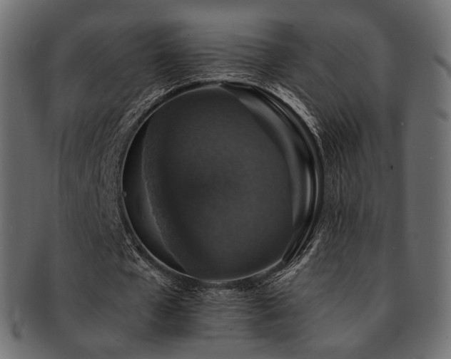 X0000093130577200709261350