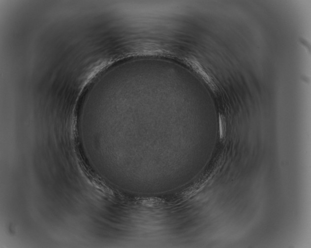 X0000093130579200709261350