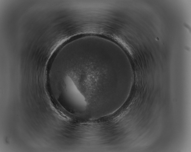 X0000093130580200709261350