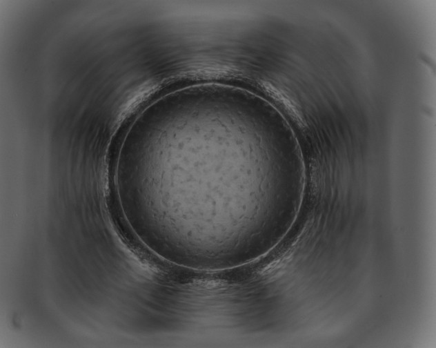 X0000093130582200709261350
