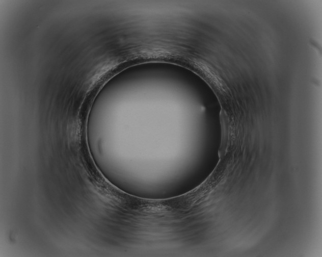 X0000093130583200709261350