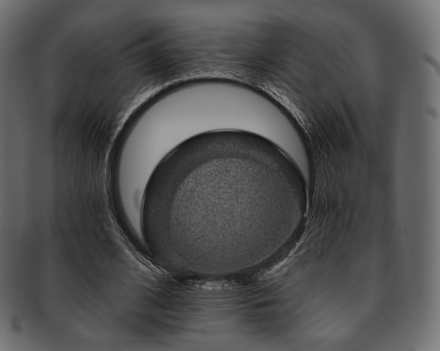 X0000093130584200709261350
