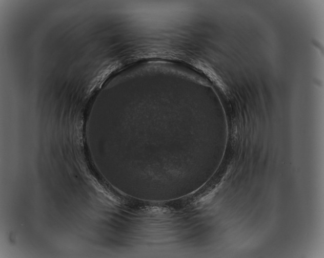 X0000093130585200709261350