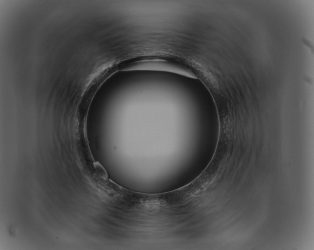 X0000093130587200709261350