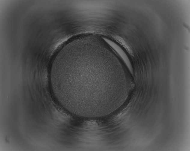 X0000093130588200709261350