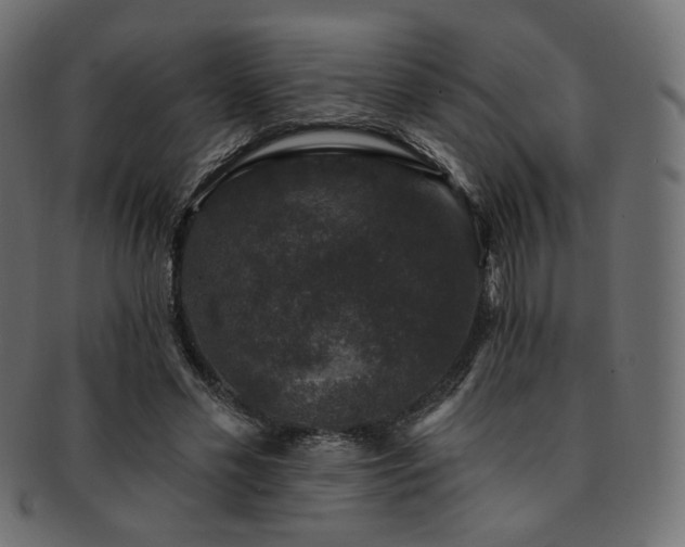 X0000093130589200709261350
