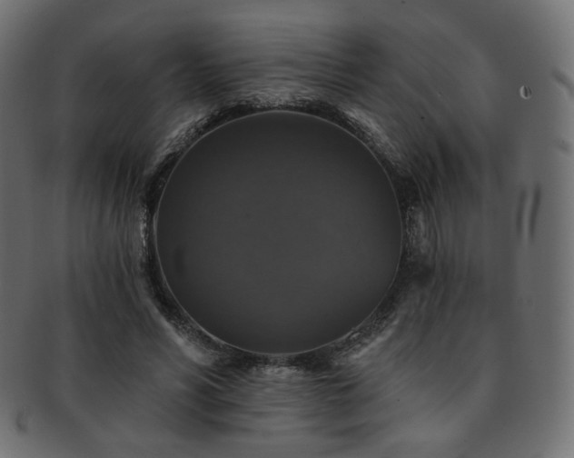 X0000093130590200709261350