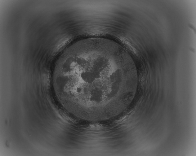 X0000093130591200709261350