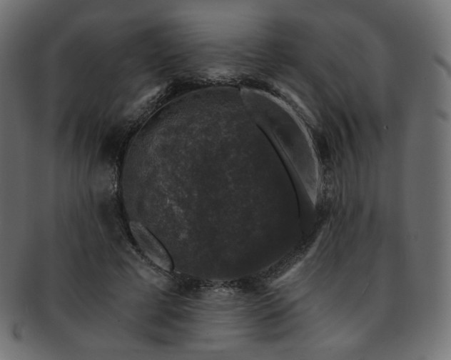 X0000093130593200709261350