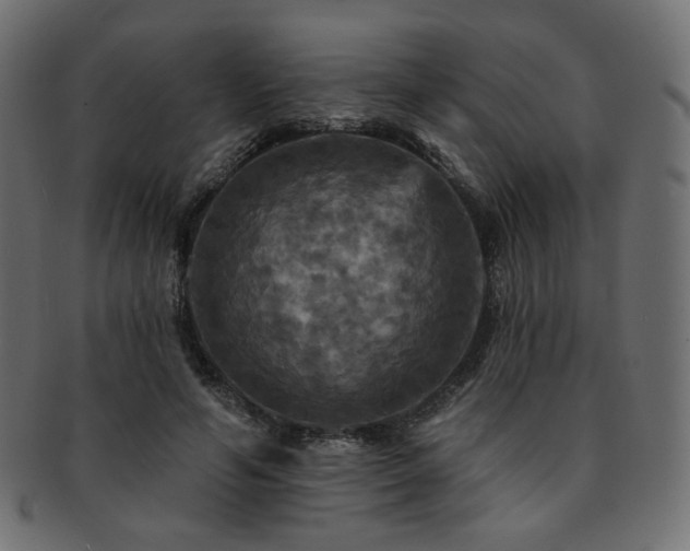 X0000093130594200709261350