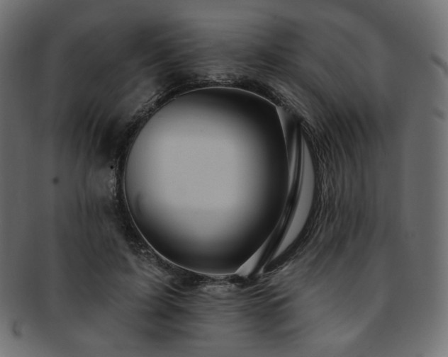 X0000093130595200709261350