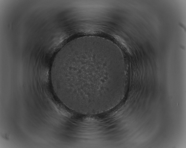 X0000093130596200709261350