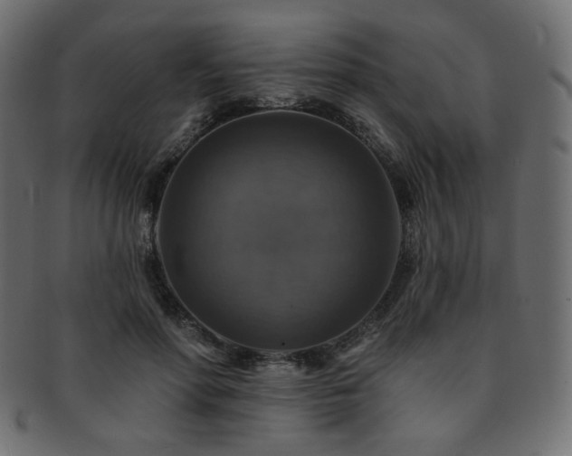 X0000093130598200709261350
