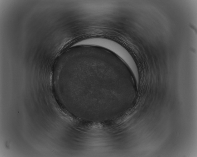 X0000093130600200709261350